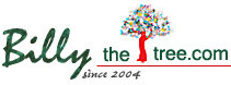 10% Off Storewide at BillyTheTree Jewelry Promo Codes